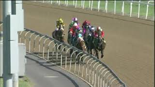 20201130 Hollywoodbets Greyville express clip Race 6 won by QUERARI'S COWBOY