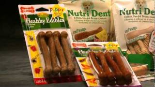 What Nylabone Product is right for your dog?