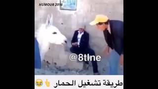 اضحك حتى الموت اضحك حتى الموت