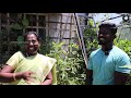 மாடித்தோட்டமா நந்தவனமா rk pattarai terrace garden tour ammaveetusamayal terrace garden