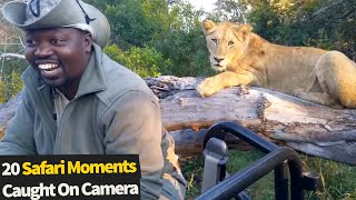 20 Amazing Safari Moments Caught On Camera
