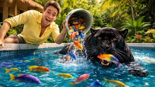 I Stocked My JAGUAR’S POND With LIVE FISH!