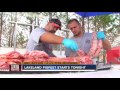 positively tampa bay lakeland pigfest