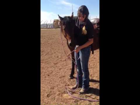 Brandi Lyons Teaches How To Bridle A Horse. - YouTube