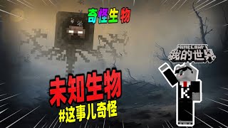 Minecraft都市傳說：未知生物再现，拥有Him的脸和凋零的躯体！