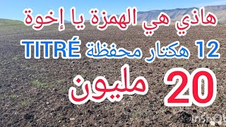 أرض فلاحية بامتياز للإستثمار الفلاحي 12 هكتارات محفظة 20 مليون للهكتار 06.93.05.92.05