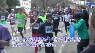 第５０回記念青梅マラソン大会