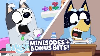 EVERY Bluey Minisode + Bonus Bit! 💙 ⭐️ | 60 MINUTES | Bluey