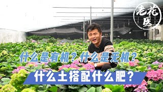 【养花必懂小知识】什么是有机和无机？什么土搭配什么肥？Tips and tracks for soil and fertilizer.