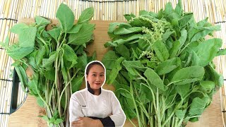 Kitchen Tips !! For Your Thai Herbs • Sweet Basil \u0026 Holy Basil | ThaiChef food