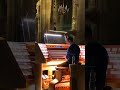 #shorts#Pipe Organ/ St. Stephen’s Cathedral, Vienna, Austria