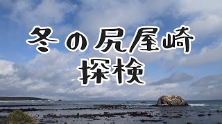 冬の尻屋崎を散策してみました