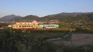 くまモンラッピング列車  肥薩おれんじ鉄道