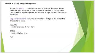 Pl/SQL Programming Language Comments