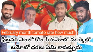 ఫిబ్రవరి  నెలలో టమోటో ధరలు ఏమి కావచ్చు.? February month tomato rate how much #telugu