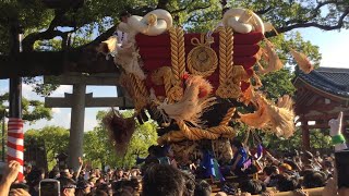 超間近！　令和四年　中百舌鳥町ふとん太鼓