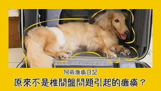 狗狗癱瘓除了椎間盤問題還有可能是