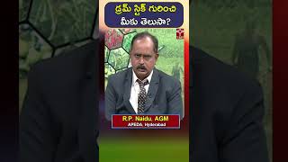 డ్రమ్ స్టిక్ గురించి మీకు తెలుసా ? || T-SAT