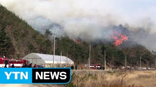 강릉 산불 재발화...야간 진화 난항 / YTN (Yes! Top News)