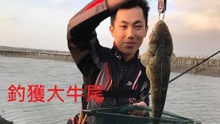 2018/10/11路亞黑鯛 | 根釣 | 新紀錄魚~ 這扁扁的聽說好吃