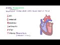 learn heart murmurs in 10 minutes with heart murmur sounds