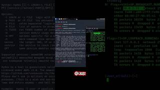 Hydra SSH brute force||😈😈 #hacks #kalilinuxtools #kalilinux #hacker #ethicalhacker #coding