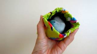 masked lovebird　ボタンインコ　don　18.5.28