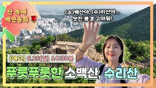 사방이 탁 트인 시원한 풍경! 소백산, 수리산! 산 속에 백만송희6/25 일요일 14:30분]