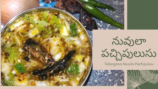 Telangana Nuvula Pachipulusu | Pachiulusu in telugu| నువులా పచ్చిపులుసు