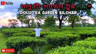 ডলু টি গার্ডেন টুর//DOLU TEA GARDEN//SILCHAR @Quicktripsilchar2824 @sirinofficial786 @Ruhul_Dubai