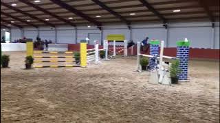 7yo gelding shown 1.25m