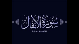 Surah AL-Anfal  |  Heart Touching |  beautiful |  سورۃ الانفال  | no copyright | creative common