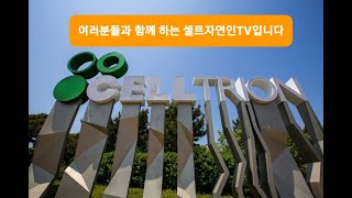 셀트리온3형제 수급현황(셀트 모건스탠리,JP모건,골드만,CS 장초반부터 총출동),역시나 셀트리온적은 JP모건입니다. 지금은 밴드하단 모아갈 때 입니다