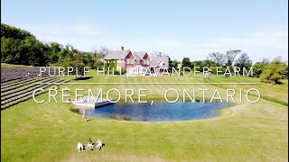 DJI Mavic Mini I PURPLE HILL Lavander Farm Creemore, Ontario