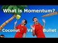 What is Momentum ?