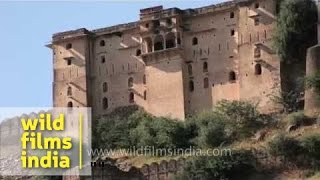 Kakod Fort in Tonk, Rajasthan: make a visit here from Sunheri Kothi in Tonk