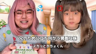 【スカッと】友達に奪われたピクミンを兄のために取り返してくる勇敢な妹👧🏻❤️