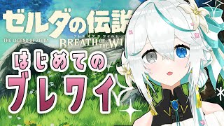 ゼル伝ブレワイ┊３┊最高に面白いと有名な神ゲーで遊びます❗❗