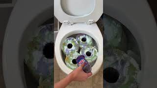 my grandma taught me how to clean a toilet like this  #recipe #clean #cleaning #hack  #cleaningtips