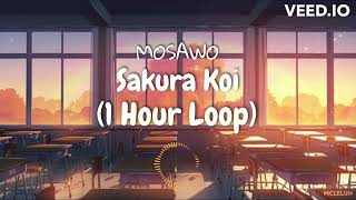 Mosawo Sakura Koi (1 Hour Loop)