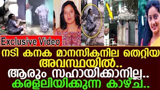 നടി കനക മാനസിക നില തെറ്റിയ അവസ്ഥയില്‍.. കരളലിയിക്കുന്ന കാഴ്ച..!! l Actress Kanaka