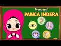 MENGENAL PANCA INDRA || LAGU PANCA INDRA || MEDIA PEMBELAJARAN PAUD