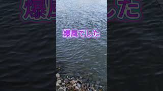 2025.1.7早朝からの続きでホームに戻ると爆風でした！宇治川ブラックバス釣り！ #釣り #fishing #bassfishing