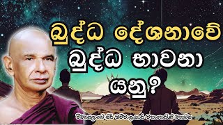 බුද්ධ දේශනාවේ සදහන් බුද්ධ භාවනාව යනු?