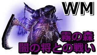 【DDON】WM闇の将との戦い:霧の森　2分3秒