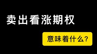 「期权第7课」卖出看涨期权意味着什么？如何避免亏损放大？备兑看涨组合了解一下。美股期权和比特币期权入门课程，适合小白