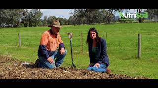 windrow inspections