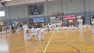 STAGE internazionale di taekwondo Merano(7)