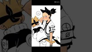 shikamaru x naruto