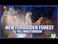 NEW Harry Potter Forbidden Forest Experience FULL Walkthrough | Fan Fest Nights 2026